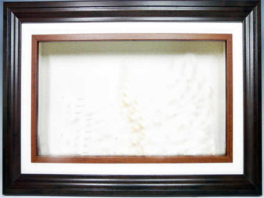 オーダーメイド剥製の料金案内 愛知県名古屋にある魚類剥製の製作