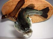 �Ǌ|���^�C�v�@����