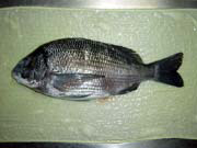 �����̎����A����E�ۑ����@