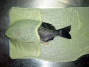 �����̎����A����E�ۑ����@