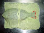 �����̎����A����E�ۑ����@