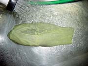 �����̎����A����E�ۑ����@